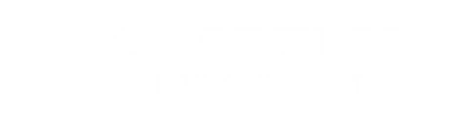Logo of Quadland Network Solutions in white